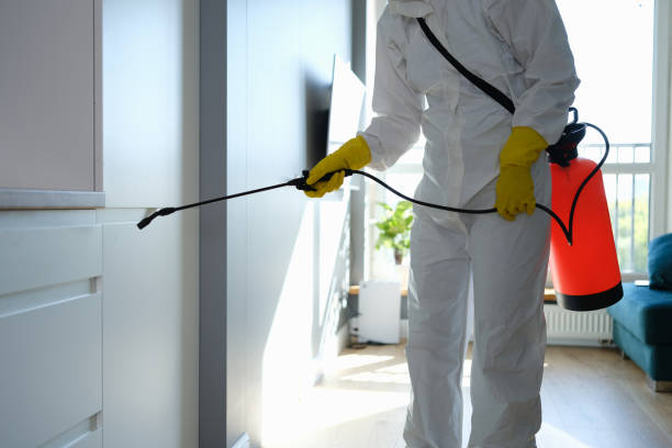 Cypress Gardens, FL Mold Remediation Company